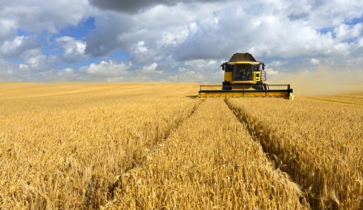 Frumento Noleggio riscaldatori in emergenza per un’azienda agricola