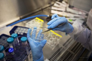 stem-cell-lab Laboratorio di cellule staminali richiede del riscaldamento