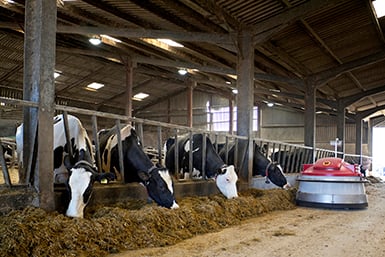 Ventilatori per l’industria agroalimentare - Nolo Climat