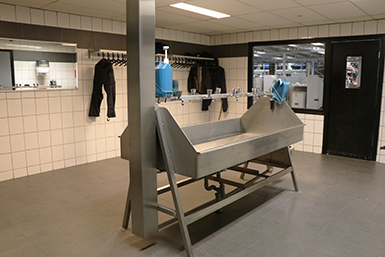 Caldaie per il settore manifatturiero e industriale