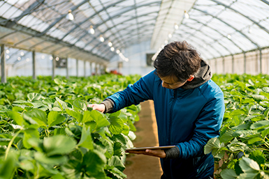 Deumidificatori per la produzione di cibi e bevande - Nolo Climat