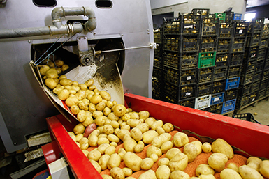 Condizionatori per l’industria agroalimentare